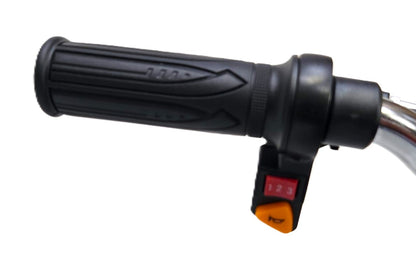 G3 350W Elektrinis Dirt Bike Vaikams